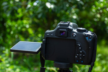 A Canon DSLR camera with a vari-angle screen on a tripod in a garden. Image for photography, content creation, and vlogging concepts
