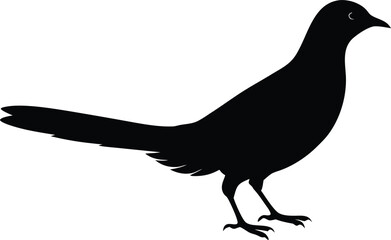 cuckoo silhouette vector bird illustration design