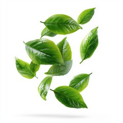 Obraz premium Dancing Leaves: A captivating capture of verdant leaves suspended mid-air, exuding a feeling of freshness and vitality against the backdrop of a bright scene.