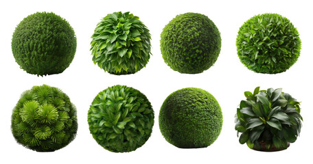Various Green Plant Spheres for Natural Landscape Design, PNG bundle collection, Isolated on Transparent Background