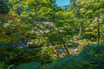京都大原三千院 庭園の夏景色