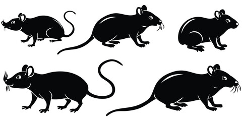 Collection Of Five Rats Mice Against Plain Vector Silhouette