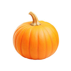 Obraz premium A single ripe orange pumpkin with a curved stem isolated on transparent background