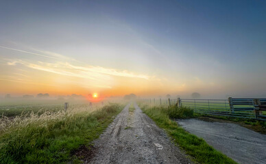 A peaceful and tranquil rural path at sunrise, surrounded by morning mist and flourishing, lush greenery