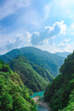 夢のつり橋