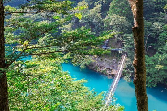 夢のつり橋