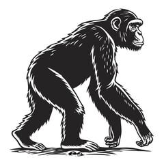 Obraz premium Ape Silhouette Isolated Wild Animal on White Background