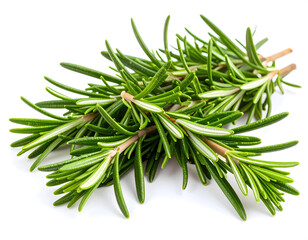 Fototapeta premium Rosemary on White Background
