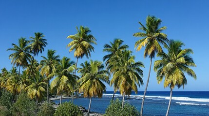 Fototapeta premium Lush tropical palm trees line a tranquil beach scene.