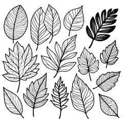 Botanical Leaves Hand Drawn Doodle Silhouette Art,