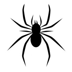 spider silhouette vector