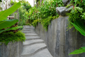 Tropical green plants. Garden decorating ideas for tropical gardens style or Bali style gardens 