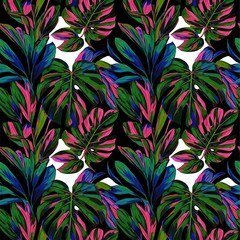Fototapeta premium Colorful Tropical Leaf Pattern with Green Pink and Blue Leaves on Black Background