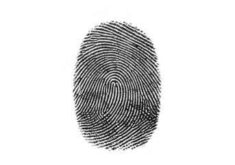 Abstract Biometric Fingerprint Scan Unique Identification Transparent Background