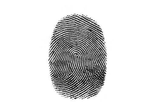 Abstract Biometric Fingerprint Scan Unique Identification Transparent Background