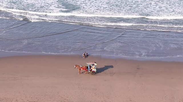 Aerial view of brown sandy beach scene with a horse-drawn carriage (delman) passing along the shore. Parangtritis beach, Indonesia