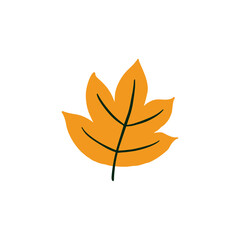 Leaf graphic design vector illustration