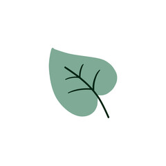 Leaf graphic design vector illustration