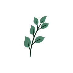 Leaf graphic design vector illustration