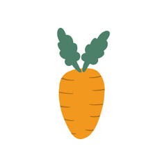 Carrot icon design vector illustration