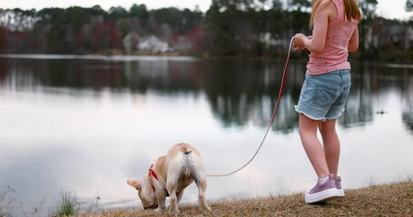 Little Girl Walking French Bulldog Puppy by the Lake – Quiet Spring Walk in Suburban Neighborhood