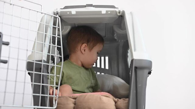 Little child in a cage with a Jack Russell Terrier dog. 