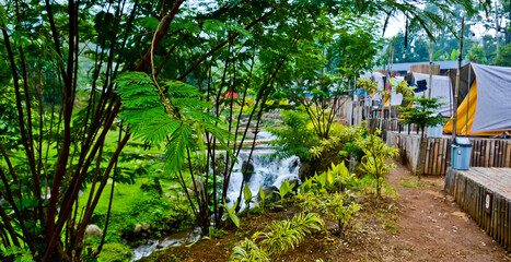 tropical riverside camping view