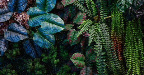 Full Frame of Green Leaves Pattern Background, Nature Lush Foliage Leaf Texture, tropical leaf