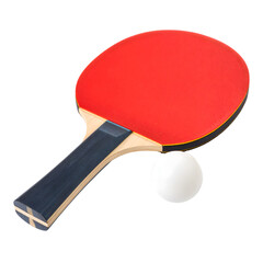 Close-Up of Table Tennis Paddle and White Ping Pong Ball