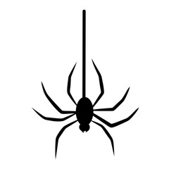 Spider hanging vector