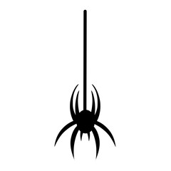 Spider hanging vector