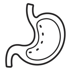 vector illustration of stomach 