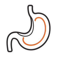 vector illustration of a human stomach