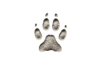 Detailed Animal Paw Print Track Isolated Transparent Background
