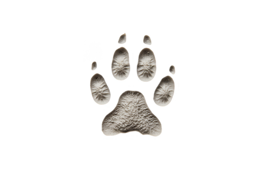 Detailed Animal Paw Print Track Isolated Transparent Background