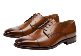 Elegant Brown Leather Dress Shoes Isolated Stylish Footwear