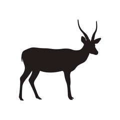 Deer Silhouette Isolated on White Background