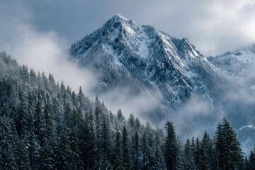 Seattle Mountains. Fog and Clouds over Snowy Landscape of Snoqualmie Pass