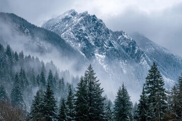 Fototapeta premium Seattle Mountains. View of Snow-covered Peaks in Foggy Winter Landscape