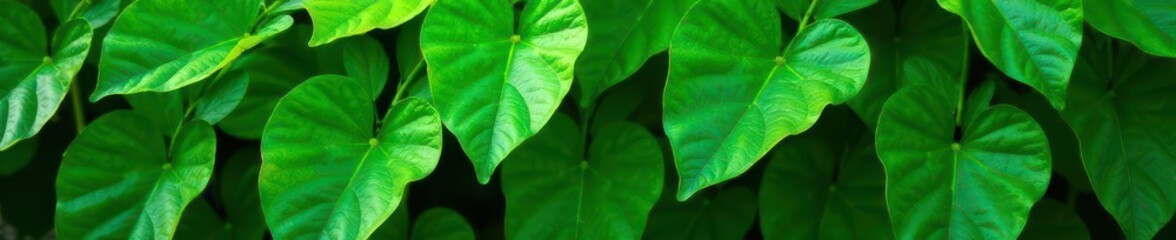 Lush green leaves, vibrant texture, natural backdrop, living wall, flora, green wall