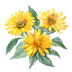 Heliopsis bouquet with three yellow flowers