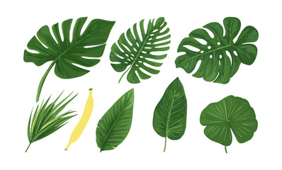 Set of flat style leaf collection hand drawn design vector element. botanical set of foliage branch for wedding poster invitation design element