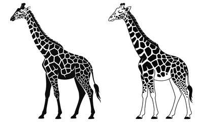 Naklejka premium giraffe vector illustration