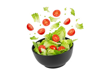 Isolated Bowl Salad with Lettuce Tomato Fresh Healthy Diet Nutrition