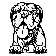 Dogue de Bordeaux Dog - Peeking Dog Breed - Pet Dog Vector Portrait, Dog Silhouette Stencil