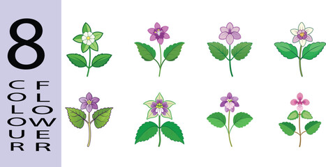 Lamium Deadnettle Flower Flat Style Botanical Vector Illustration