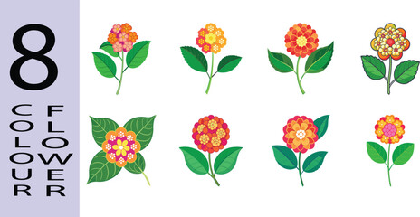 Lantana Flower Flat Style Botanical Vector Illustration