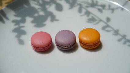 Colorful macarons on a plate, a delicious treat to enjoy