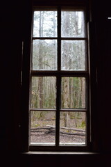 Looking Out a Rustic Cabin Window into Nature