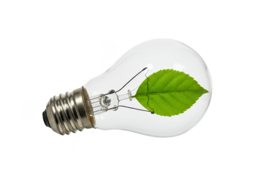 Isolated Lightbulb with Green Leaf Inside Eco Energy Creative Idea